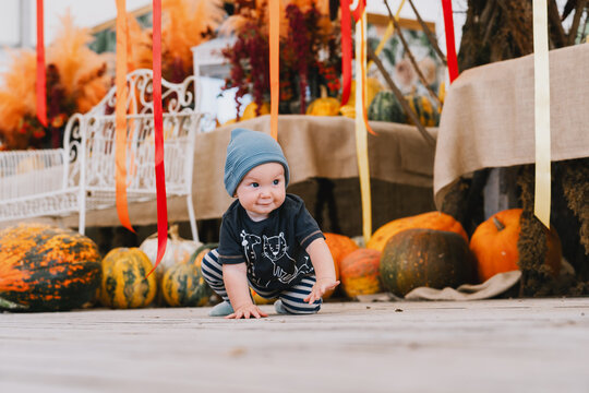 Close up view of a small baby crawling on a rustic wooden floor wearing a dark t-shirt and striped pants. Authentic childhood development and active everyday lifestyle concept.