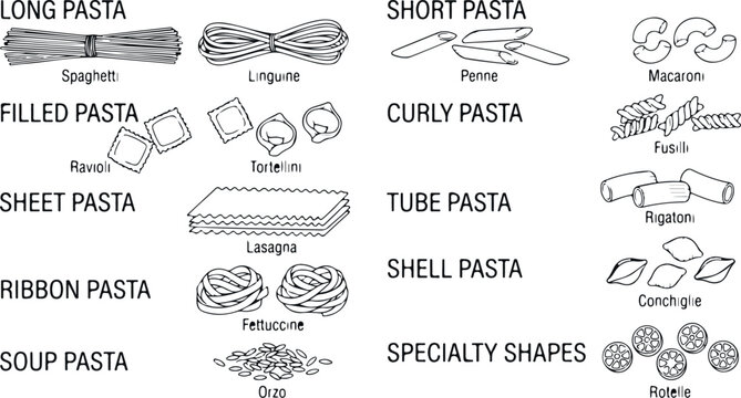 Variety of pasta shapes including long, short, filled, curly, tube, sheet, ribbon, shell, soup and specialty pasta.