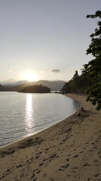 Aerial drone view of Dogs playing along the curved sandy shore of Pangulatan beach at sunrise