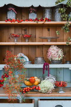 A beautiful vintage wooden cabinet is decorated with glass jars, red berries, and dry autumn hydrangea flowers. Cozy rustic home interior design and seasonal fall lifestyle.