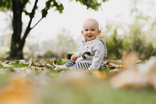 A sweet baby boy wearing a cozy sweater sits on the grass among autumn leaves and looks away with a smile. Relaxed fall season lifestyle and authentic outdoor childhood moments.