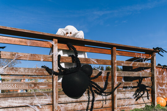 A scary giant black spider hangs on a wooden fence while a spooky white ghost stands hidden behind it. Creative outdoor Halloween decoration and fun seasonal festive lifestyle.