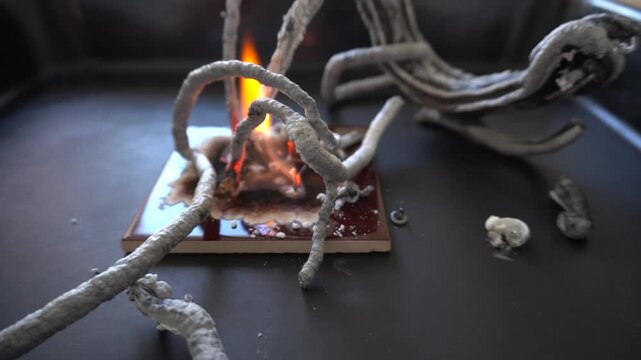 an experiment with calcium gluconate. The formation of grey porous &ldquo;snakes&rdquo; as a result of thermal decomposition. An experiment at home.