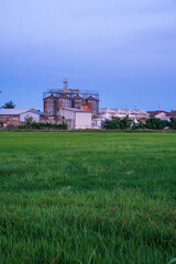 Fototapeta premium Industrial agricultural silos and green rice field in Lomellina at twilight