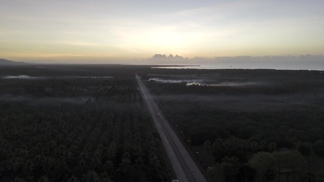 Aerial drone view of Highway crossing expansive coconut fields in Brooke's Point during early morning