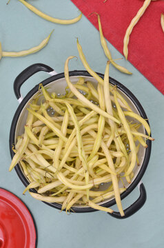 Yellow, autumn vegetable harvest from contry garden. Yellow wax beans in vintage, enamelled strainer on mint tablecloth with red elements.