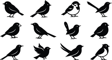 Fototapeta premium Black bird silhouette vector set with flying and standing bird illustrations
