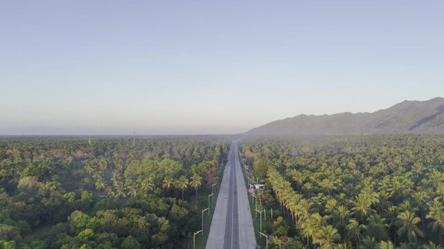 Aerial drone view of Straight highway through a coconut plantation with mountains in Brooke's Point