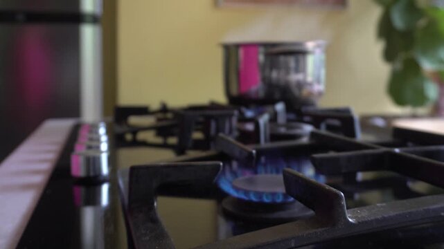  Gas stove burner with blue flame. Black cast iron grates, stainless steel pot behind. Kitchen cooking close-up.