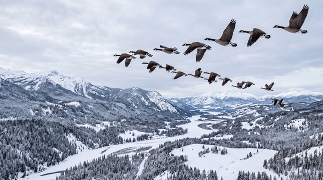 Flock of geese flying over city in winter