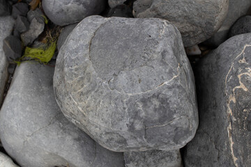 Large Boulder with a Fossilized Ammonite Imprint © Josh