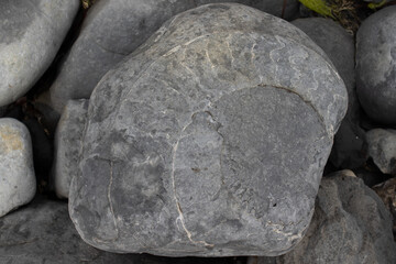 Large Boulder with a Fossilized Ammonite Imprint © Josh