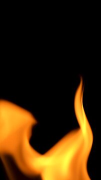 Close-up of orange fire flames moving and flickering in darkness on a black background. Glowing heat and burning flame texture. Slow motion video.