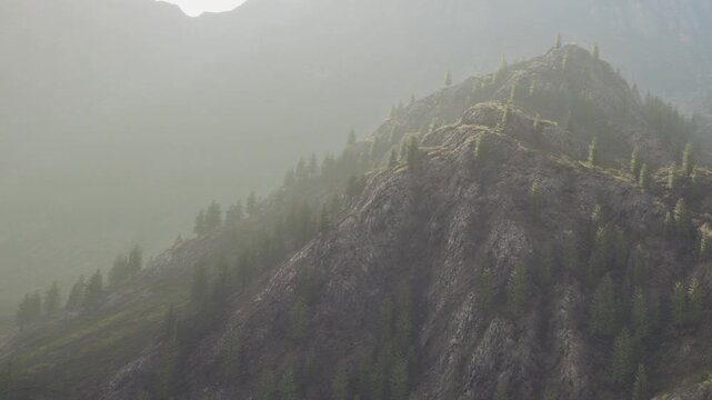 Early morning scene shows a mountain range covered in fog. Tall trees grow on the slopes. The atmosphere looks cool and quiet. Light shines through the mist.