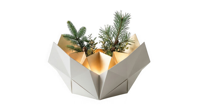Modern geometric white and gold bowl with pine branches and pinecones isolated on transparent background
