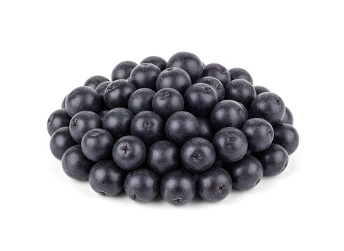 Dunkelviolette Aroniabeeren isoliert auf Wei&szlig;