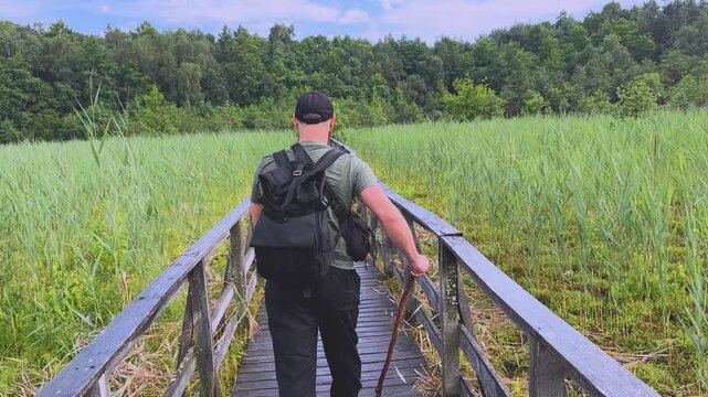 Bearded male hiker walking on a wooden boardwalk through a swamp and turning back to smile at the camera