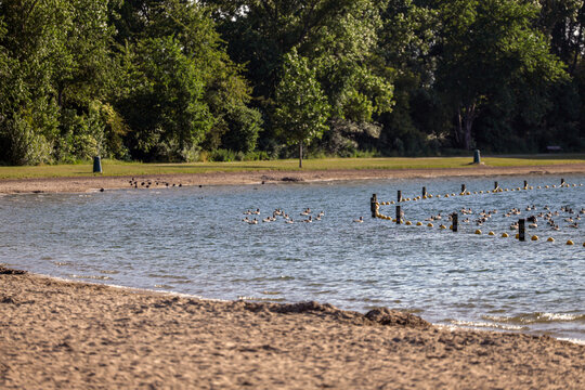 Recreation lake Zevenhuizerplas in the Netherlands