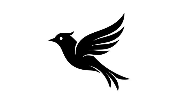 Minimalist black bird silhouette logo nature branding vector illustration