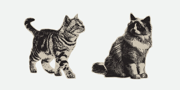 Cat Large Grain Photocopy Effect, for grunge punk y2k collage design