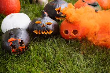 Fototapeta premium Vibrant Halloween pumpkins ignite the spirit of spooky season on a green lawn