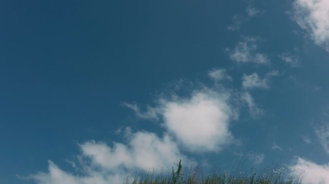 Grass swaying in the wind against a blue sky with drifting clouds
