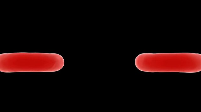 A 3D digital rendering showing a red blood cell splitting and dividing into two separate cells on a solid black background.