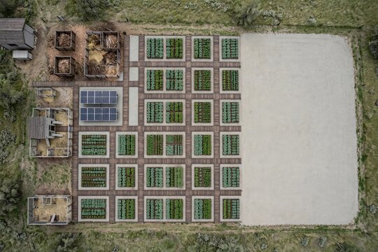Structured Garden Plot Layout for Sustainable Farming Growth
