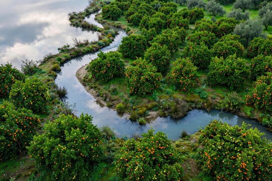 Winding River Through Lush Green Forest Landscape