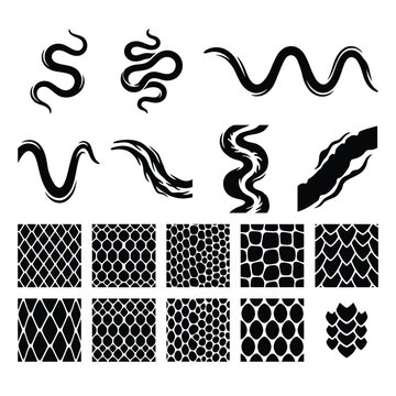 Snake silhouettes and reptile scale skin seamless texture patterns set vector illustration