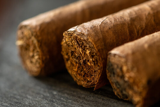 Closeup of three brown cigars with sharp focus on cut ends