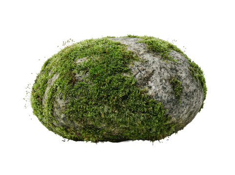 Natural mossy stone isolated on white background for landscape design