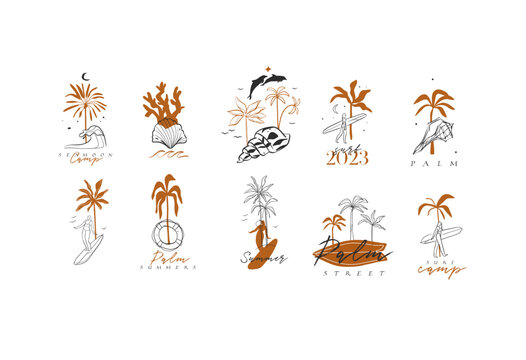 Summer Surf and Tropical Beach Hand Drawn Vector Set with Palm Trees, Surfers, Dolphin, Seashell and Coral, Coastal Ocean Vacation Illustrations