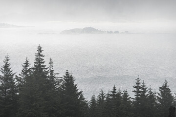 Fototapeta premium Misty forest in Norway with sea fog covering the landscape and distant islands