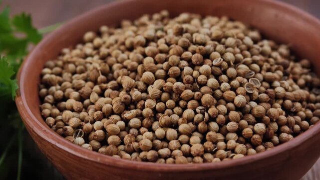 Dried coriander seeds in a bowl