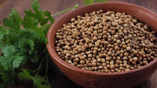 Dried coriander seeds in a bowl