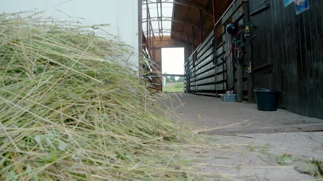 Fresh hay lies beside the entrance to an empty horse stable. Red metal stall rails and hanging tack frame the quiet barn aisle.