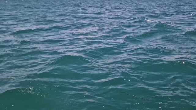 Calm ocean surface with natural wave texture. Transparent water of deep blue-green hue. Sea water texture with small waves. Minimalistic background with ocean waves. Sea surface