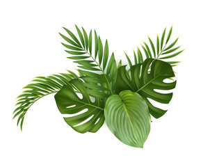 Fototapeta premium Realistic tropical green leaves composition featuring monstera, palm and hosta foliage. Lush botanical arrangement isolated on white for nature, summer, branding and design projects.