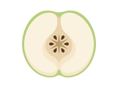 Flat Vector Cross Section Of Green Apple