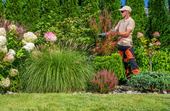 Gardener working in a colorful garden during a sunny day