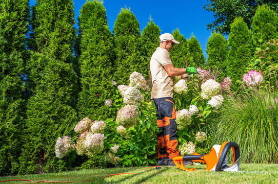 Person trimming flowers in a garden on a sunny day in summer