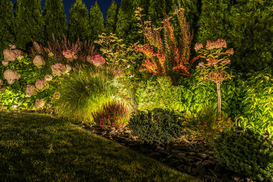 Garden landscaping with lights at night in a residential area