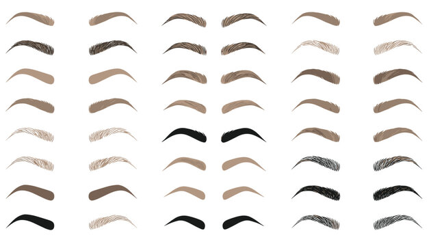 Chart of diverse eyebrow shapes and styles for makeup templates, beauty salons, permanent tattooing, and microblading.
