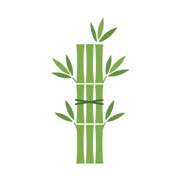 Bamboo set icon depicting green stalks tied together on white background