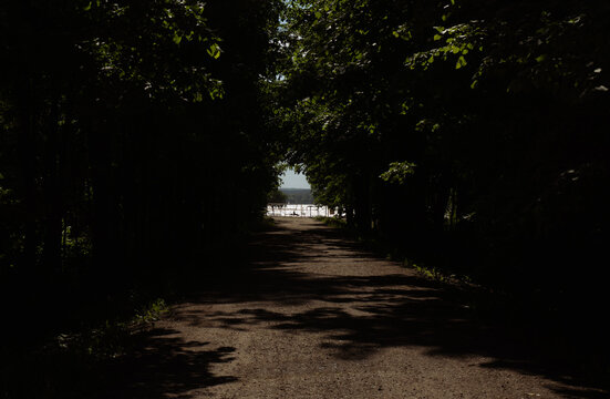 Dark tree-lined path leading to bright lake view through forest tunnel