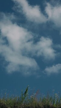 Grass swaying in the wind against a blue sky with drifting clouds
