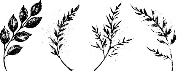 Fototapeta premium Set of grunge black and white botanical twig and leaf stencils for rustic background, pattern design and decorative accents
