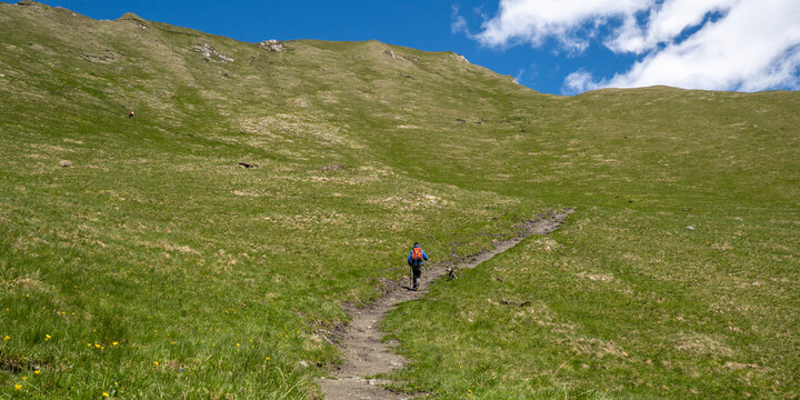 Wanderung auf dem Wendelin- Weingartner Weg durch Bergwiesen auf das Figerhorn in den Hohen Tauern 1