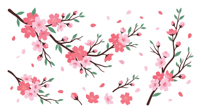 Cherry blossom branch vector set with pink spring flowers and falling petals isolated